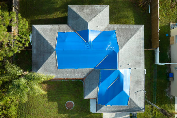 Best Roof Insulation Installation  in Rose Hill, NC
